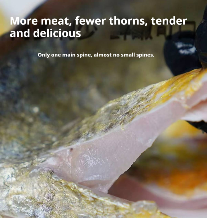 Sea-farmed yellow croaker, delivered live to your door — triple compensation for dead fish!