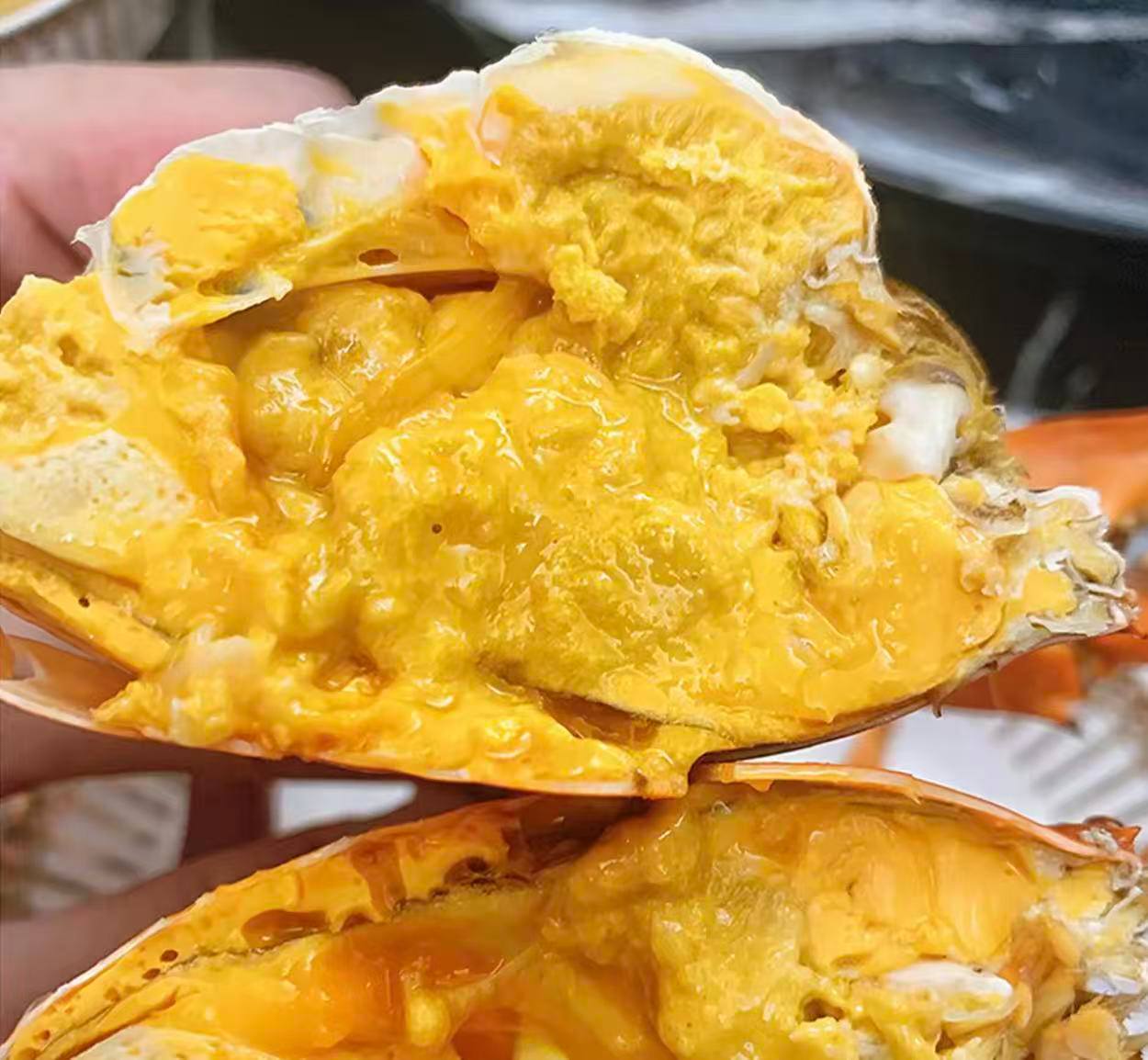 Premium Live Butter Crab | Arrives Alive or Full Refund