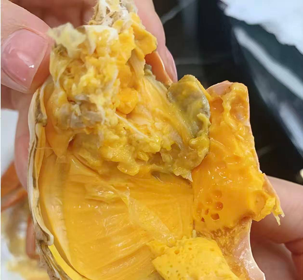 Premium Live Butter Crab | Arrives Alive or Full Refund
